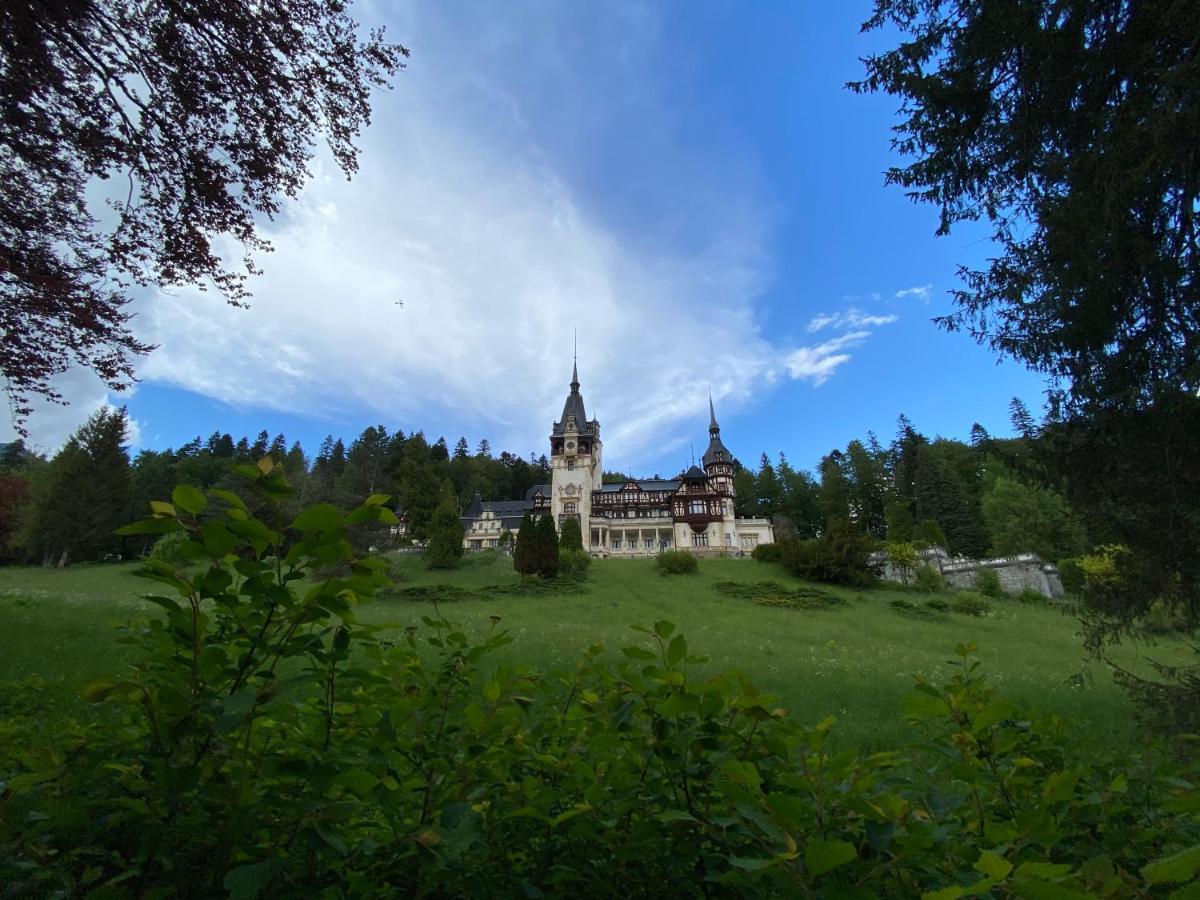 Vila De Argint Aleea Pelesului Nr 2 Синая Экстерьер фото