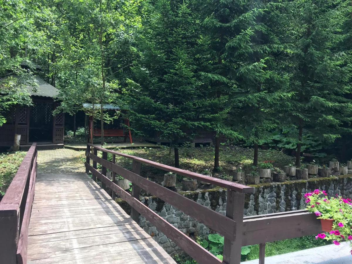 Vila De Argint Aleea Pelesului Nr 2 Синая Экстерьер фото